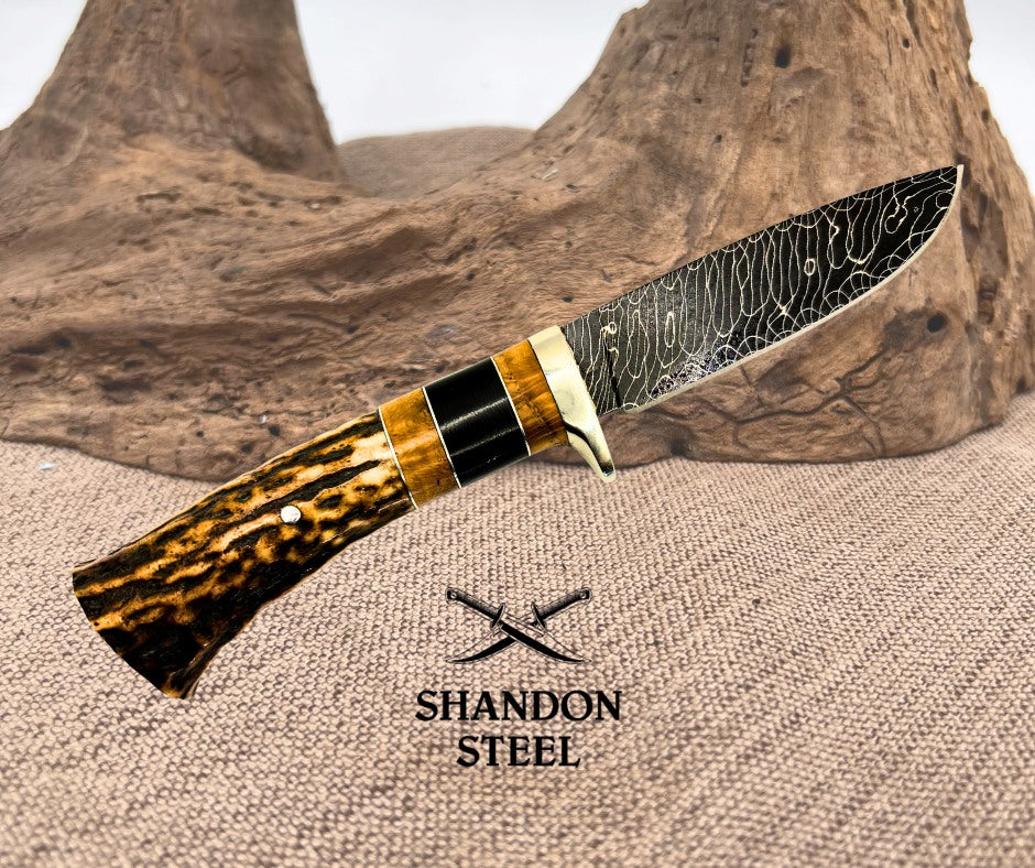 Burr Oak Handmade Twisted Checkerboard Damascus Drop Point Stag Hunter Knife