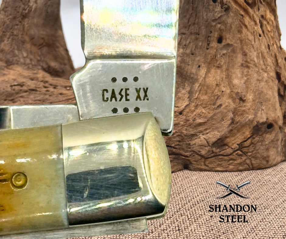 CASE XX USA 6 DOT 2024 BROWN BONE FULL SIZE TRAPPER 2 BLADE KNIFE 6254 (11)
