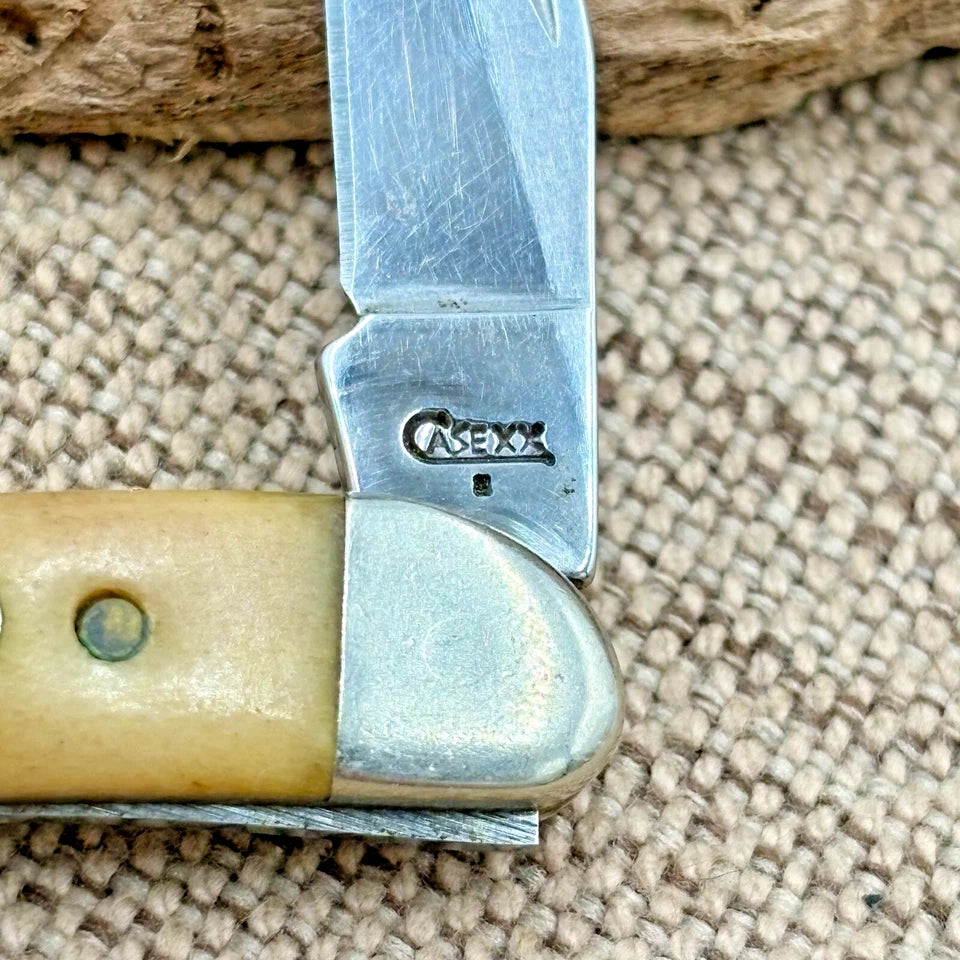 Case XX USA 510096 SS Tiny Toothpick 2009 Genuine Stag Handles Pocket Knife (24)