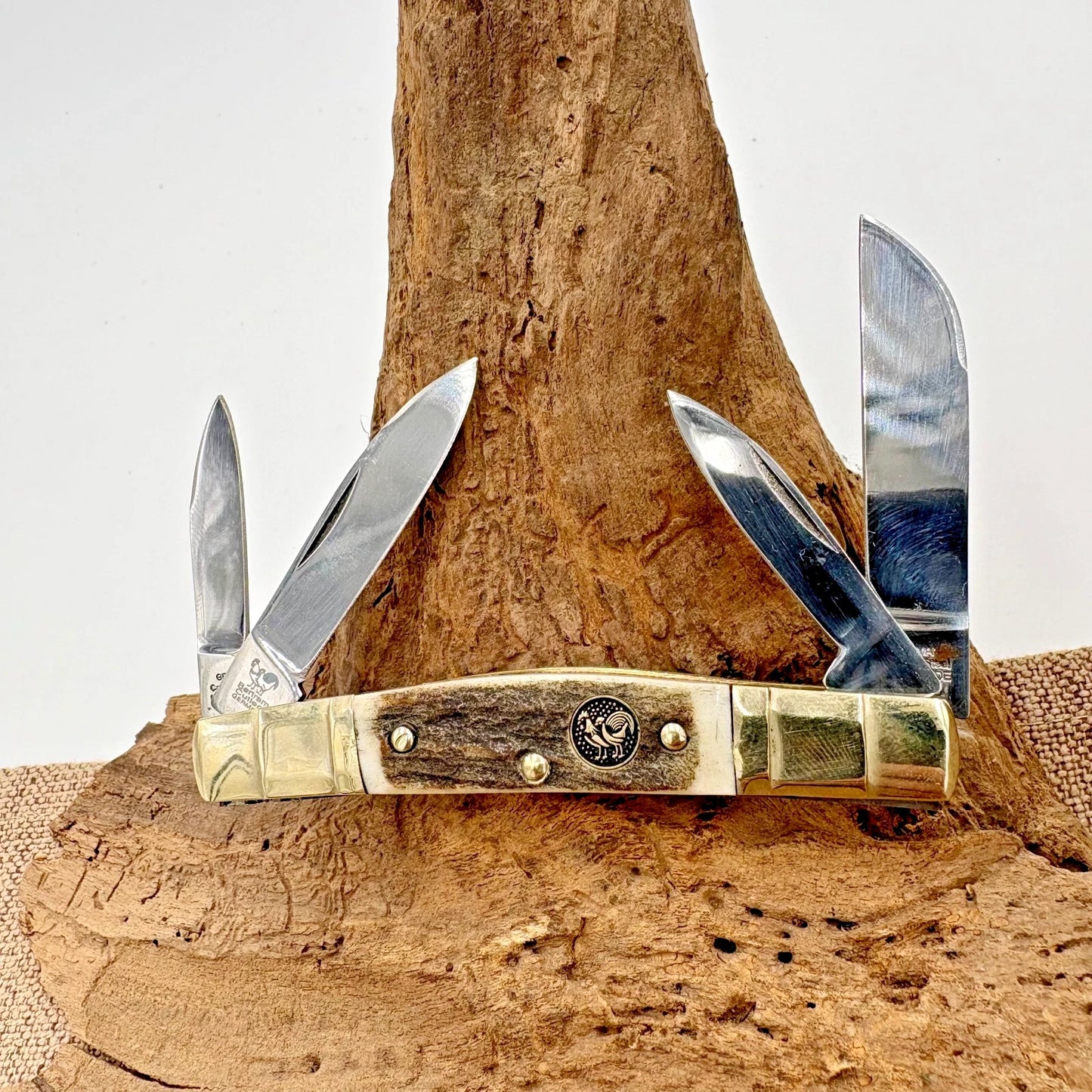 HEN & ROOSTER 324C-DS CONGRESS Pocket Knife Stag Bertram Cutlery Germany (133)