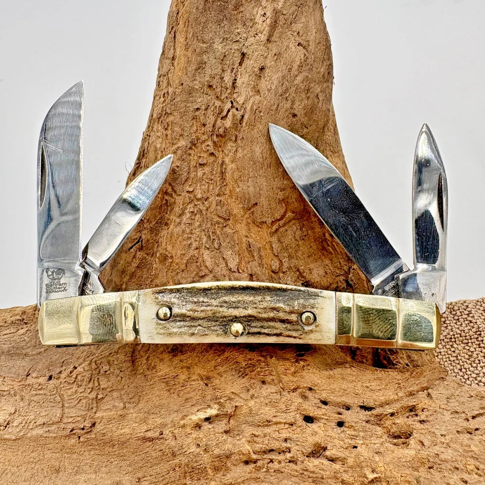 HEN & ROOSTER 324C-DS CONGRESS Pocket Knife Stag Bertram Cutlery Germany (133)