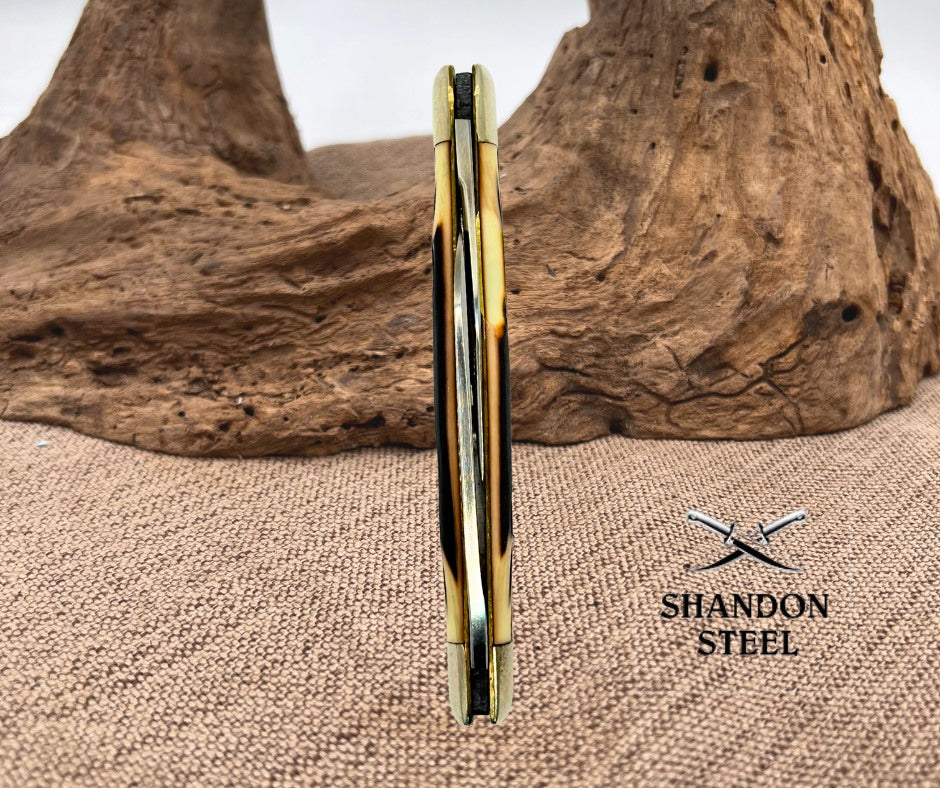 Queen Steel USA #31 (2 Blade) Congress Winterbottom Bone No Tang Stamp (64)