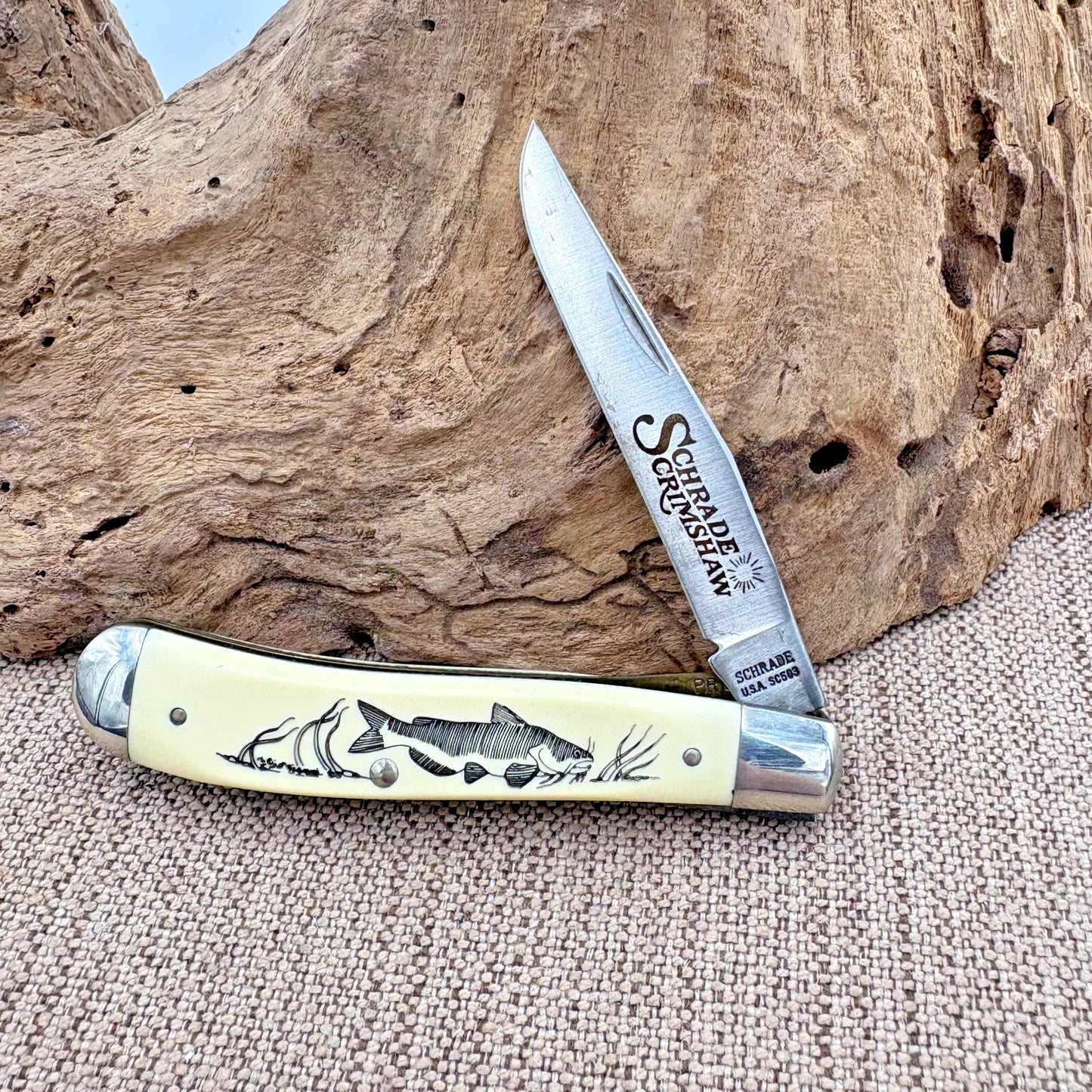 Schrade USA Vintage Scrimshaw SC503 Catfish Themed Folding Pocket Knife (242)