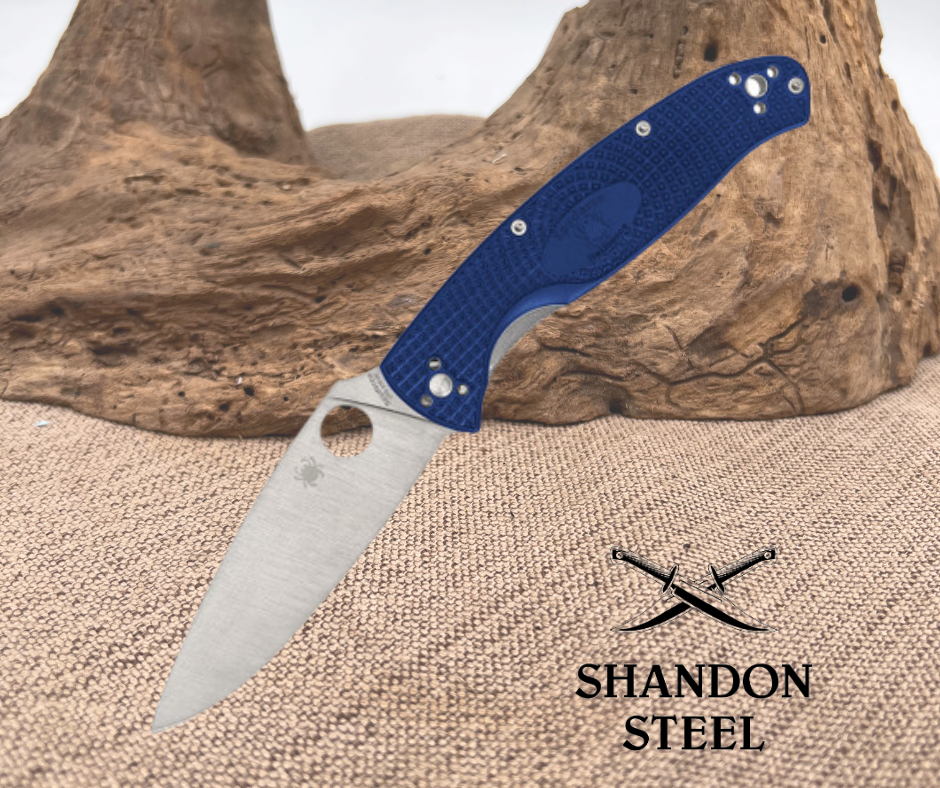 Spyderco Resilience Blue C142PBL