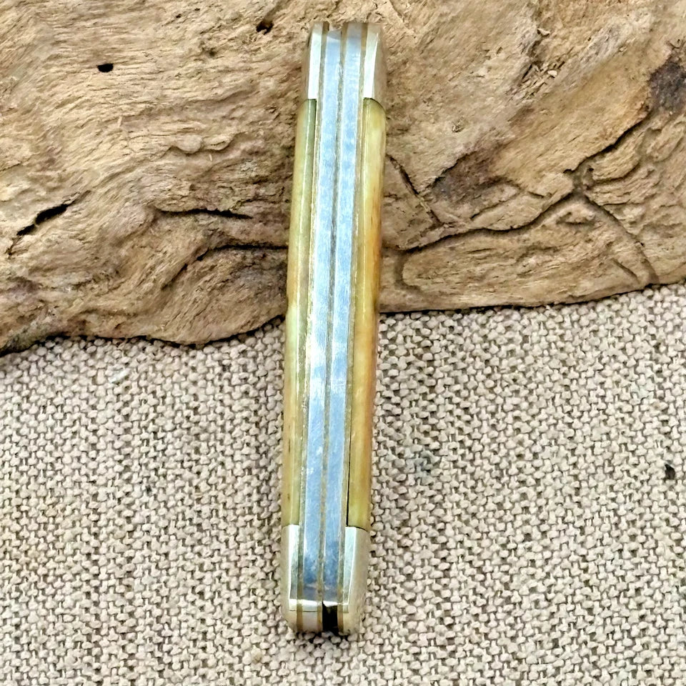 Taylor Surgical Japan 2 Blade Muskrat Traditional Folding Pocket Knife (214)