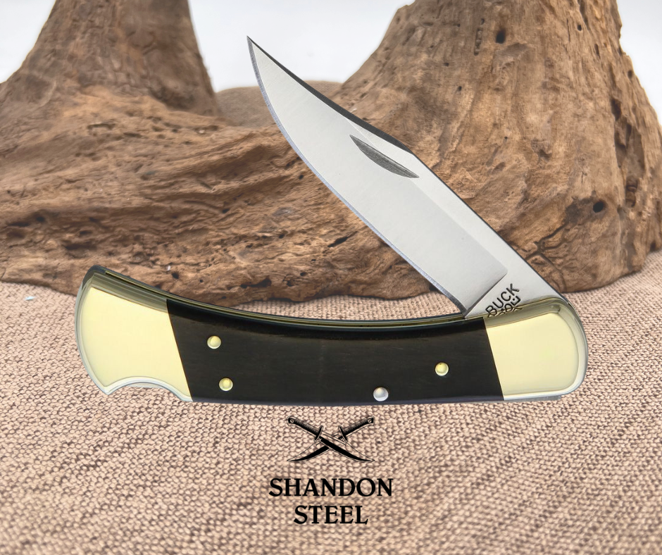 Buck 110 Hunter Lockback BU110
