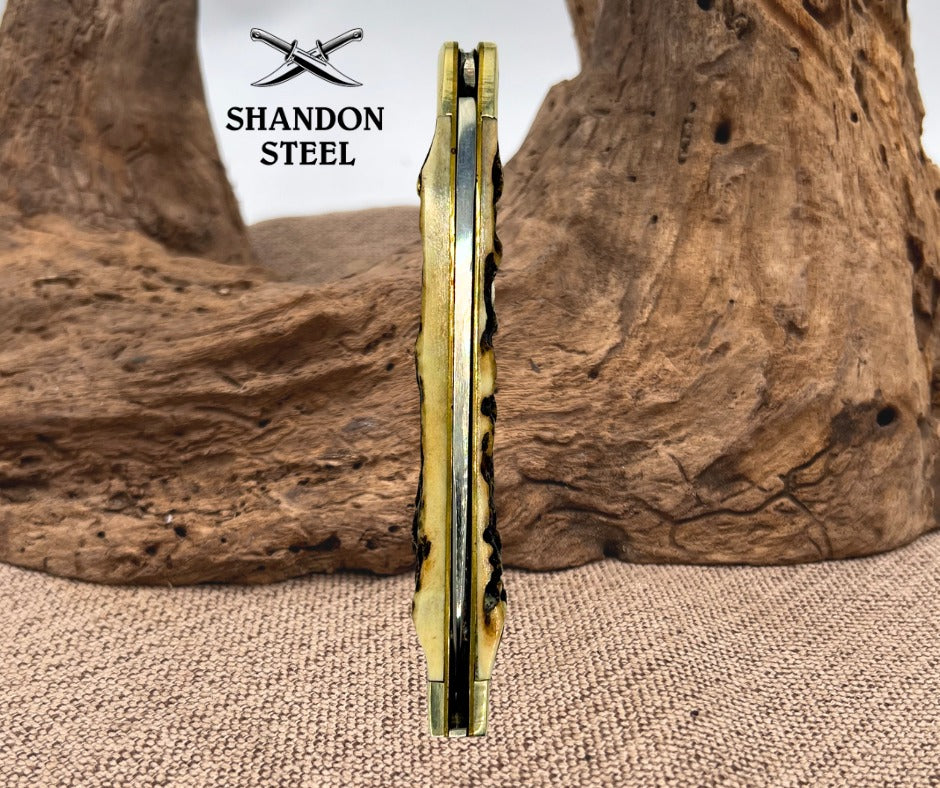 BUCK CREEK GERMAN STAINLESS GENUINE SINGLE BLADE STAG DOCTORS DR'S KNIFE (120)