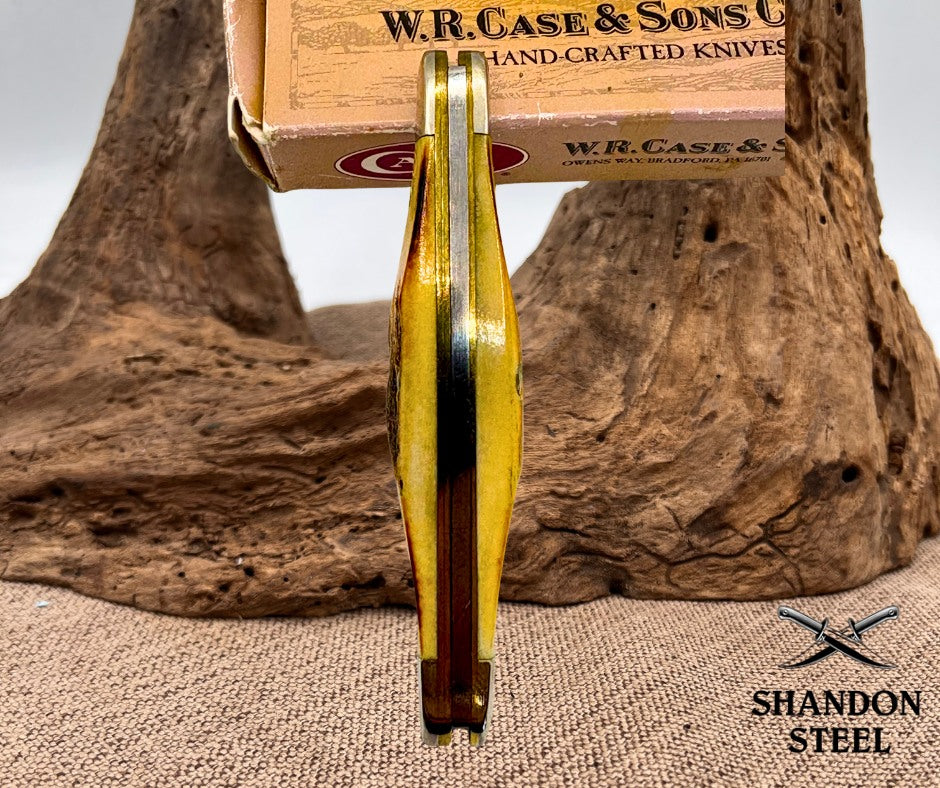 Case XX USA 1999 Mini Copperhead 52109x Stag Handle 2 Blade Folding Pocket Knife