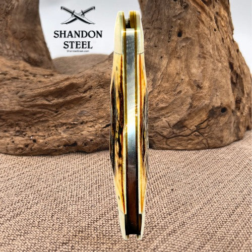 Case XX Classic 1994 Stag 52050 Elephant Toe Knife 2 Blade Fort City Club Knife *pre-owned