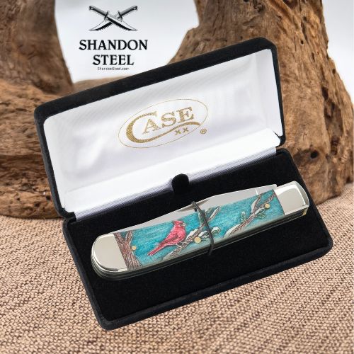 A silver folding pocket knife with a colorful turquoise and red bird inlay, presented in an open black velvet Case XX box. The white lid of the box features the gold Case XX logo, and a white card with the Shandon Steel logo is visible in the background next to a piece of wood.