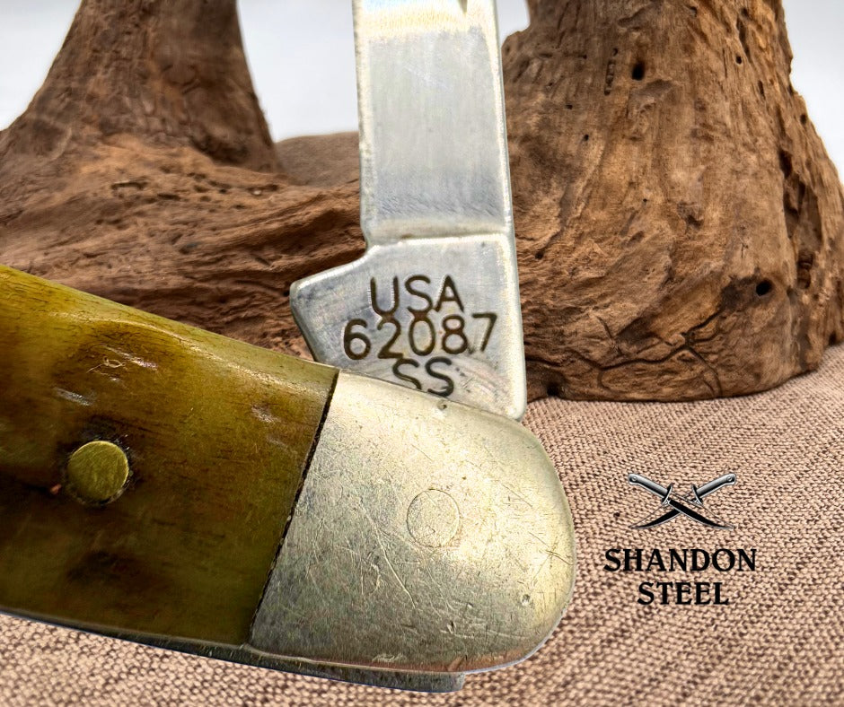 Case XX USA BSA 62087 Medium 2 Blade Boy Scout Jack Knife Jigged Bone 2005 (06)