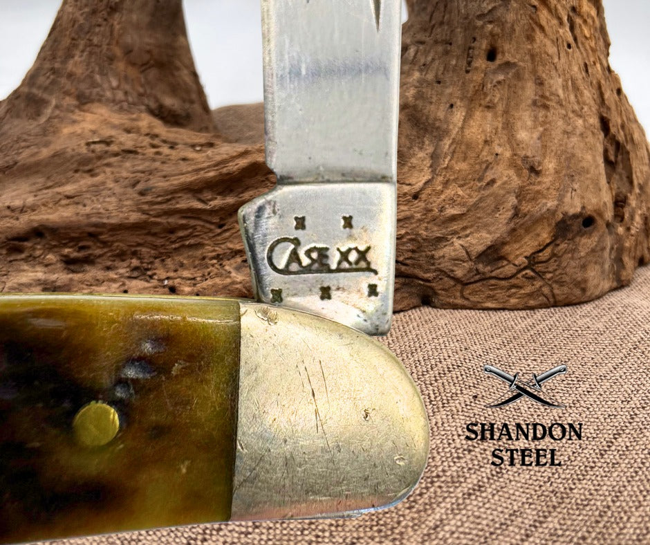 Case XX USA BSA 62087 Medium 2 Blade Boy Scout Jack Knife Jigged Bone 2005 (06)