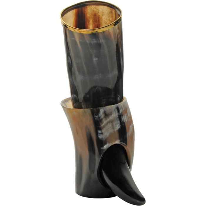 Viking Drinking Horn PA230981