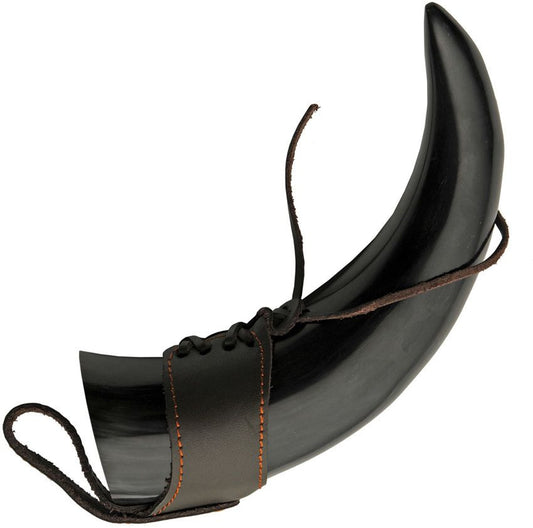 Viking Horn PA230983