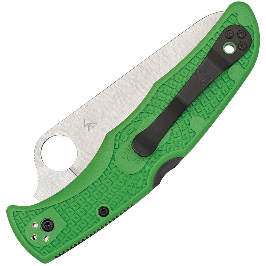 Spyderco Pacific Salt 2 Lockback Green C88FPGR2