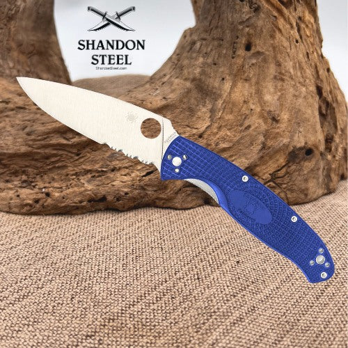Spyderco Resilience Blue C142PBL