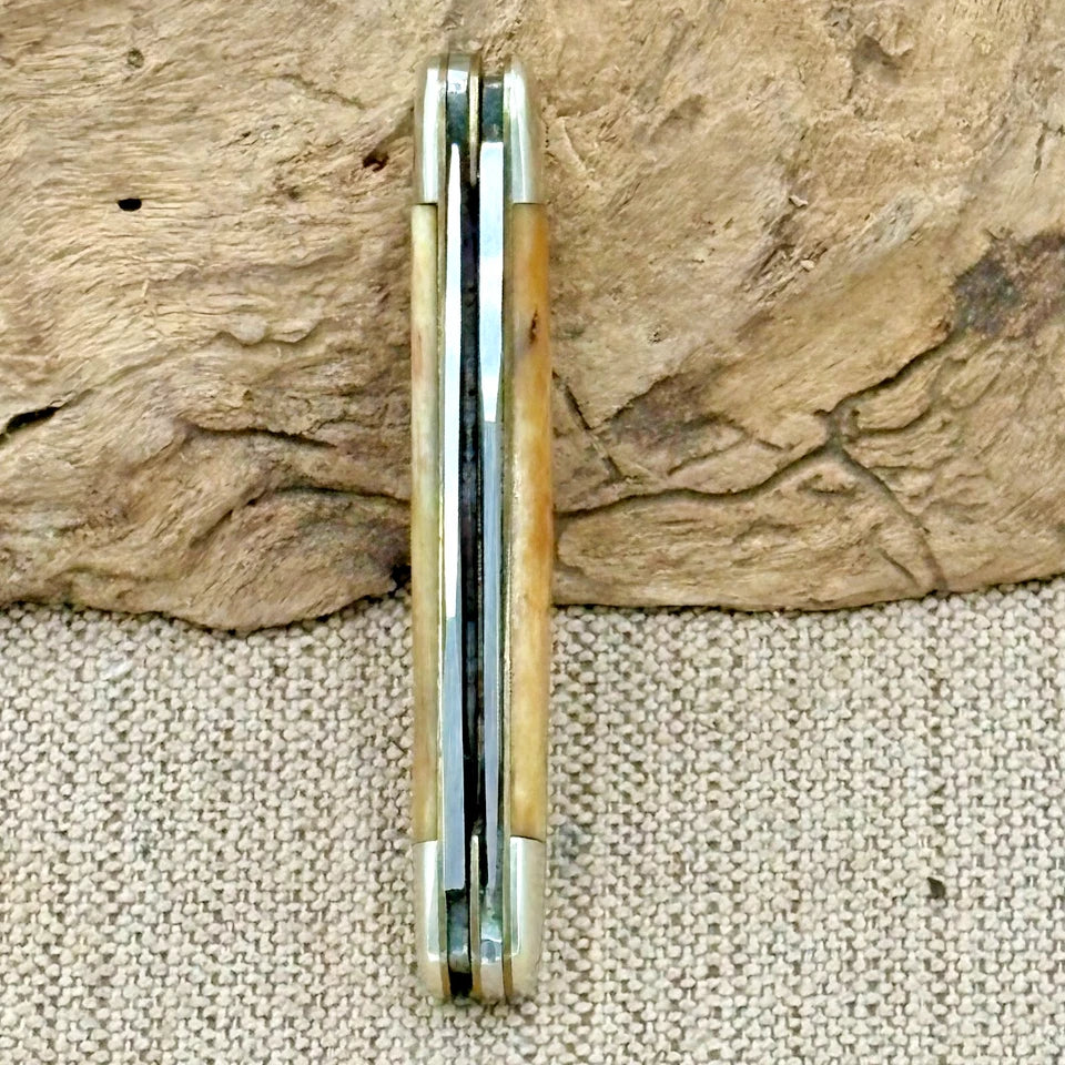 Taylor Surgical Japan 2 Blade Muskrat Traditional Folding Pocket Knife (214)