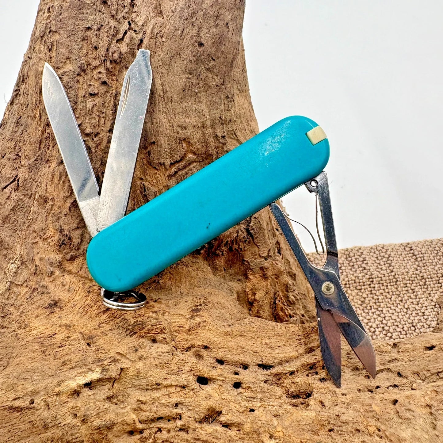 Victorinox Swiss Army 58mm Knife CLASSIC SD Mountain Lake 0.6223.23G (184)